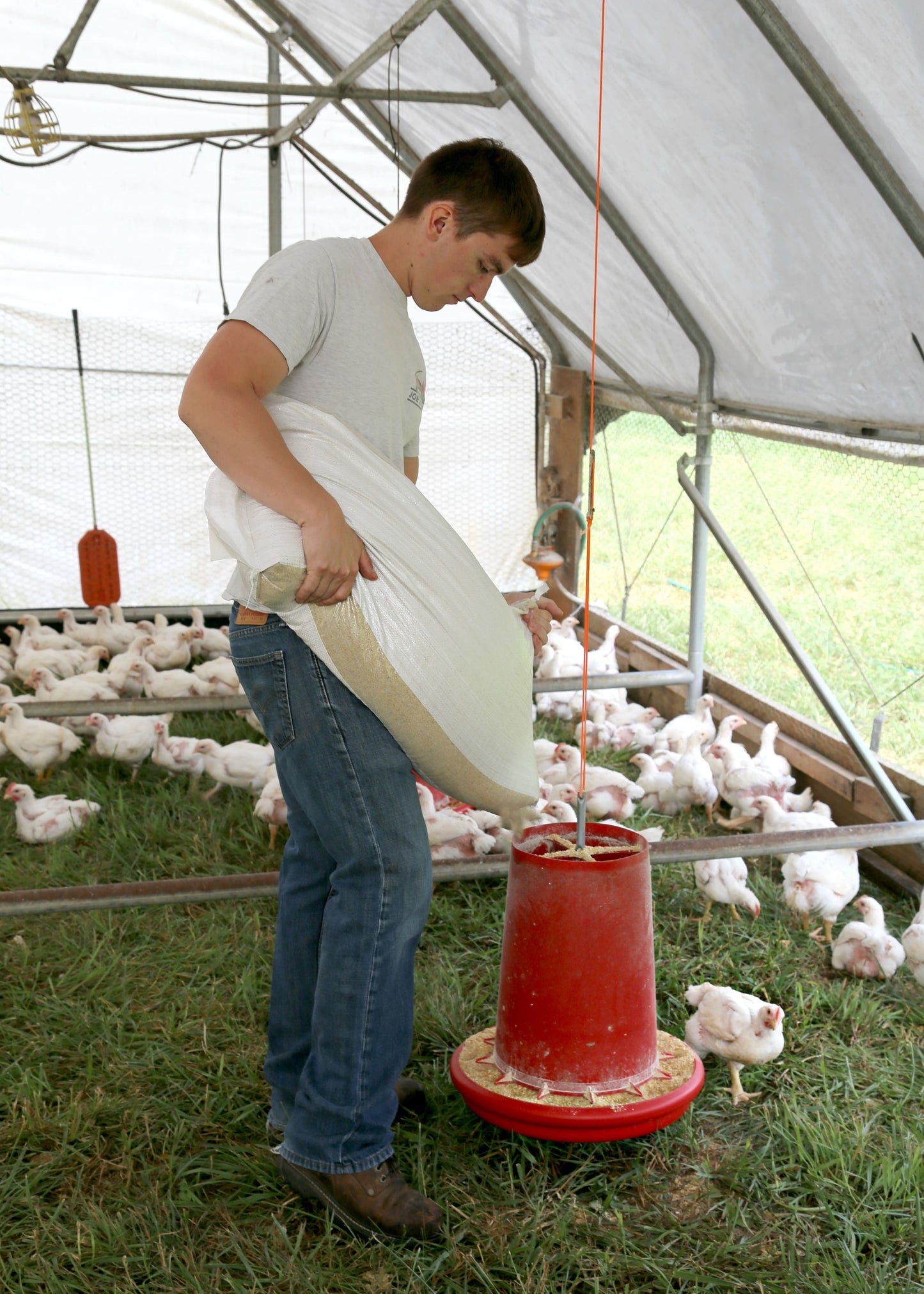 Pasture Raised Poultry