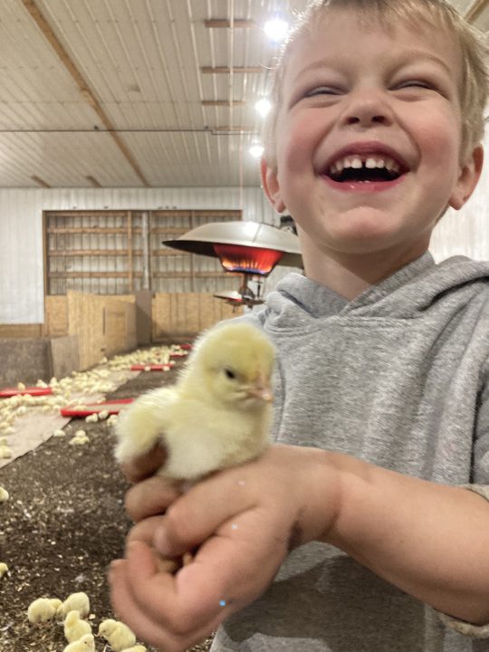 Getting Ready For 7,000+ Little Chicks!