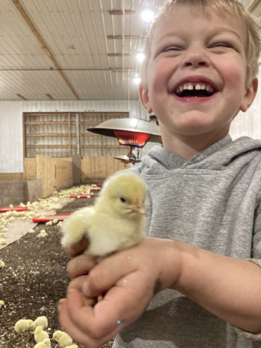 Getting Ready For 7,000+ Little Chicks!