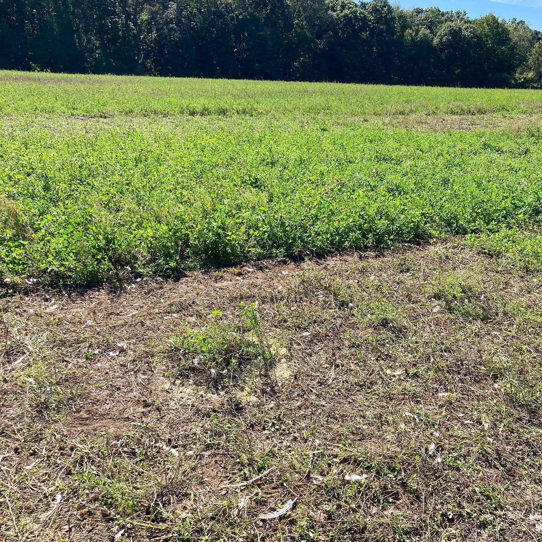 Soil Health