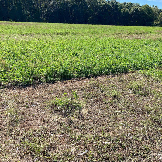 Soil Health